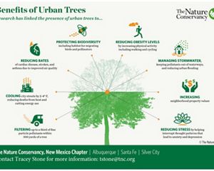 Graphic illustration depicting the many benefits of urban trees.