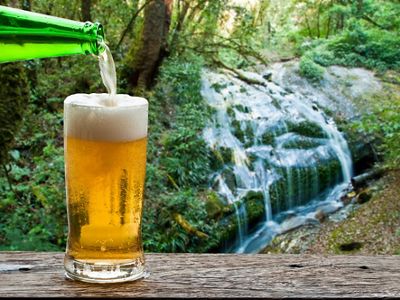 Beer glass sits on a table next to a waterfall.