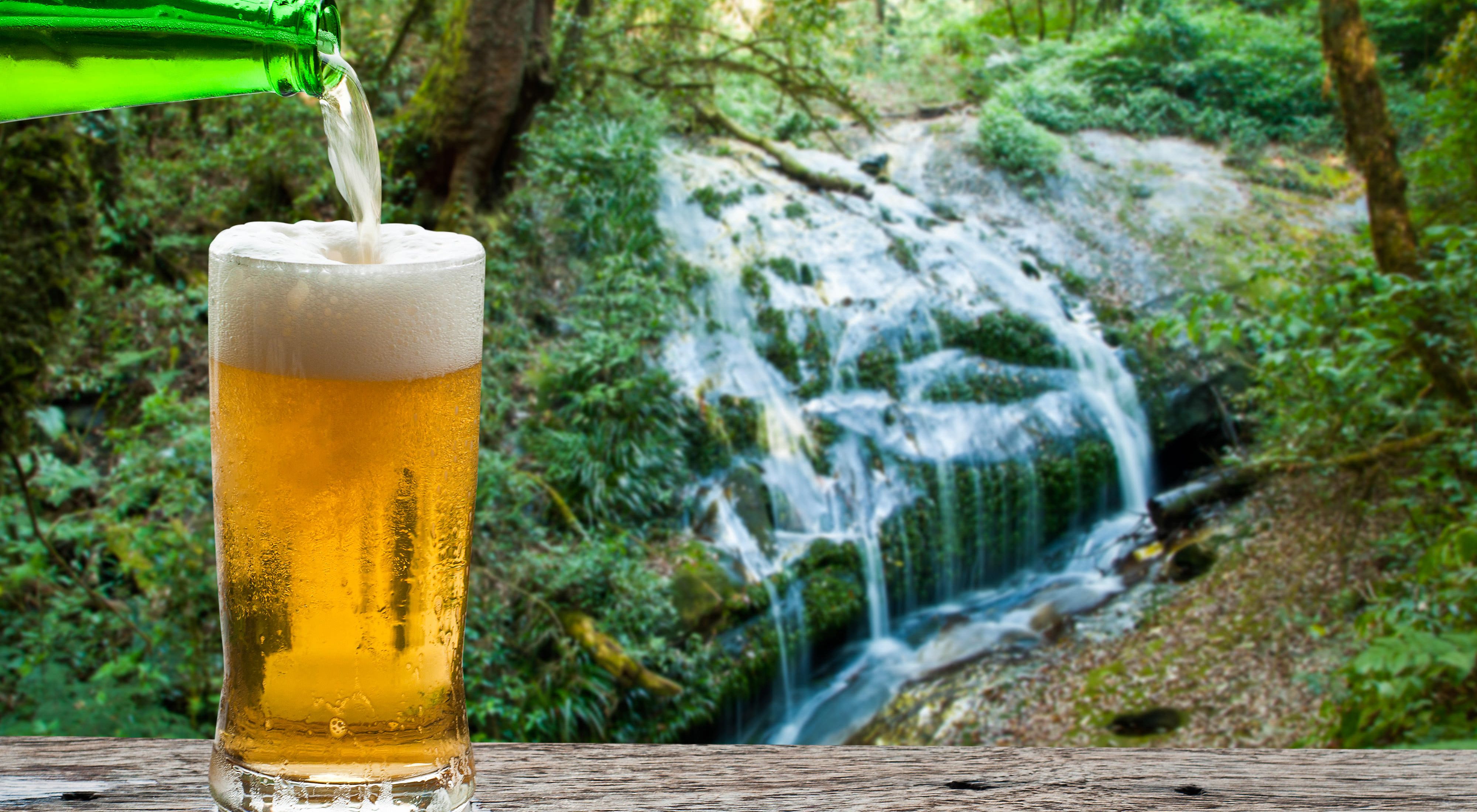 If you like beer, you should love forests.