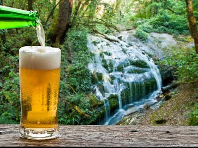 A beer being poured into a glass by a waterfall.