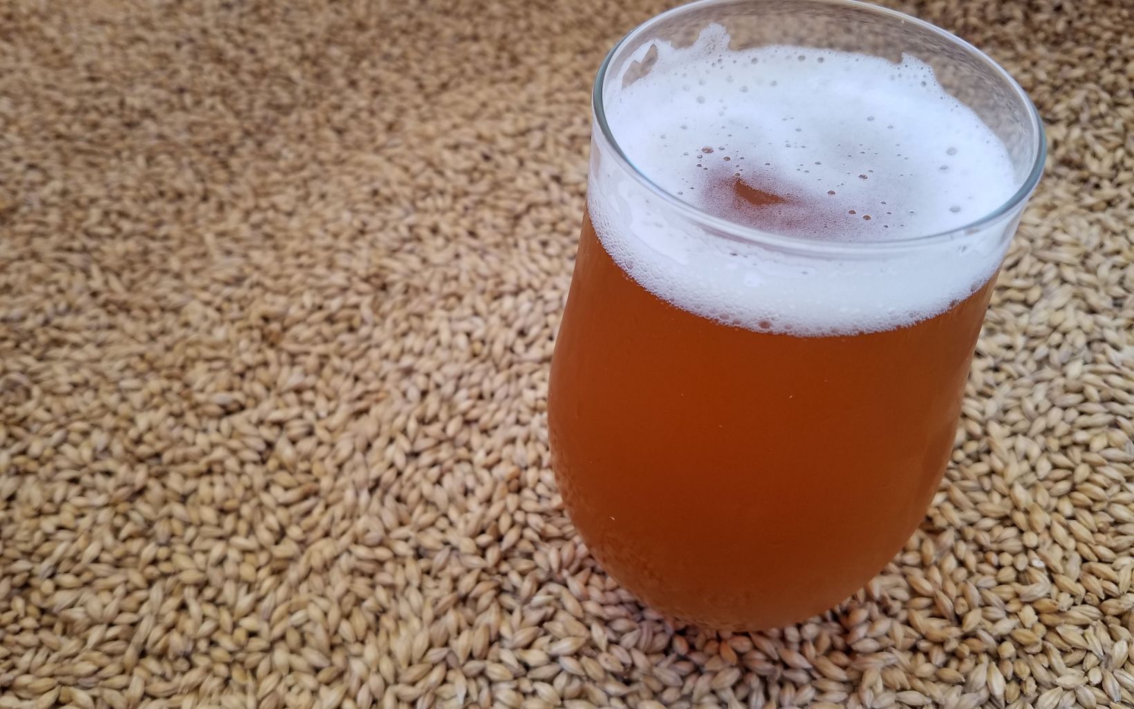 
                
                  Craft Brew Barley malted at Sinagua Malt yields high-quality beer. Local brewpubs in Arizona are using the sustainable ingredient to help reduce water demands on the Verde River.
                  © Chris Chappell/TNC
                
              