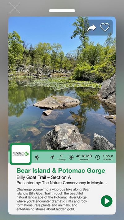 A screenshot of the Bear Island audio tour, entitled Bear Island and Potomac Gorge. It features an image of a water scene framed by trees at Bear Island. Below the image is a description of the hike.