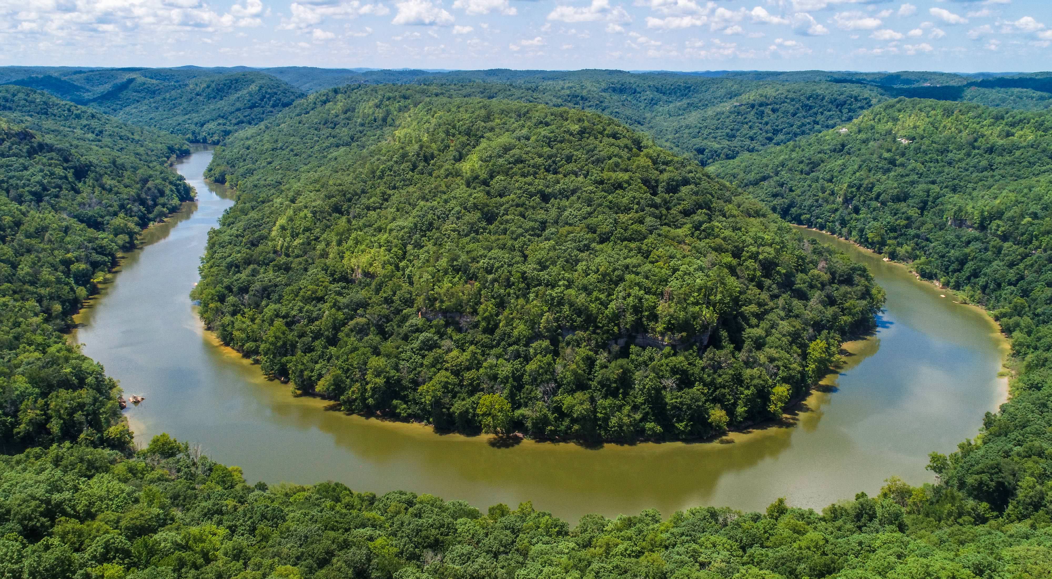 The Big South Fork River meanders through a forest