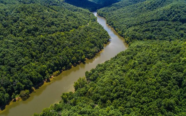 TNC is working to expand the Big South Fork in southeastern Kentucky.