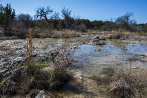 Clear, blue stream waters trickle over rocks, surrounded by scrubby brush.