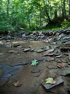Shallow creek runs through Big Walnut nature preserve.