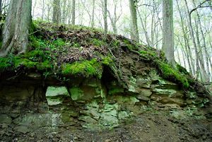 Moss-covered stone outcropping at Big Walnut nature preserve.