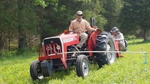 Two men on a tractor plant tree seedlings.