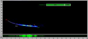 A call image from a big brown bat. It is a blue streak on a black background.