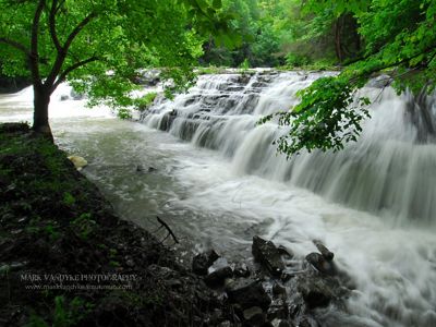 White water rushes over a series of low falls, pooling and swirling around rocks in the river bed.