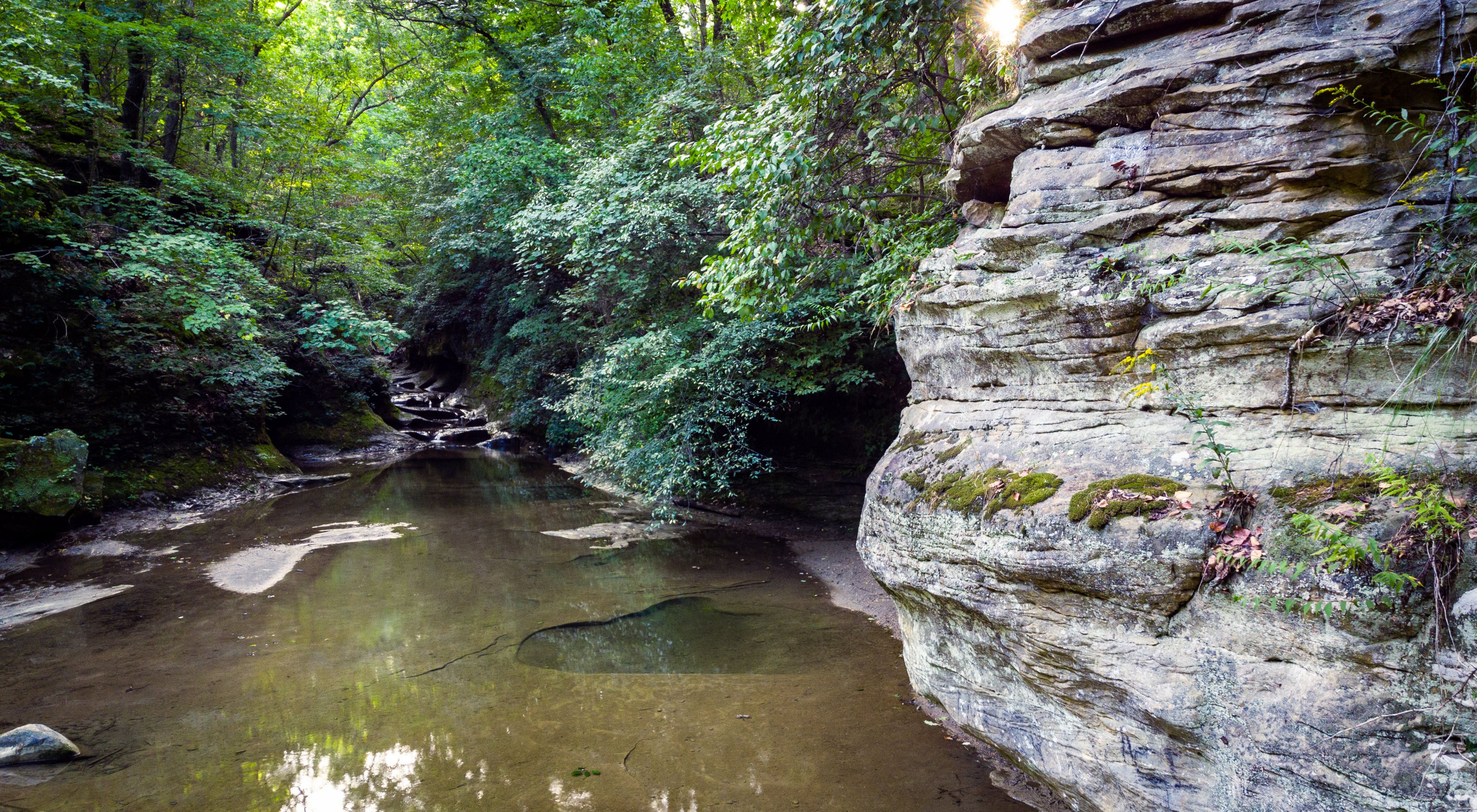 Shallow creek runs through rock formations in green forest.