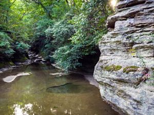 A shallow creek runs through rock formations in a green forest.