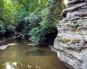A shallow creek runs through rock formations in a green forest.