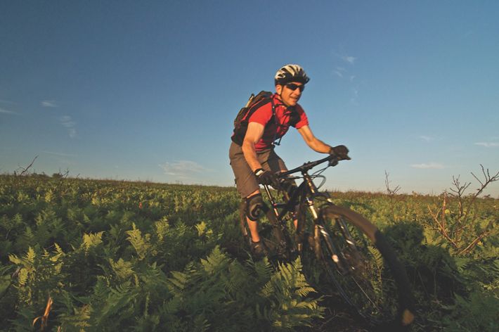 A person on a bike moves through a green field.