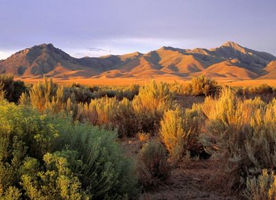 Landscape view looking across a vast golden plain filled with scrub and sagebrush with mountains in the distance.