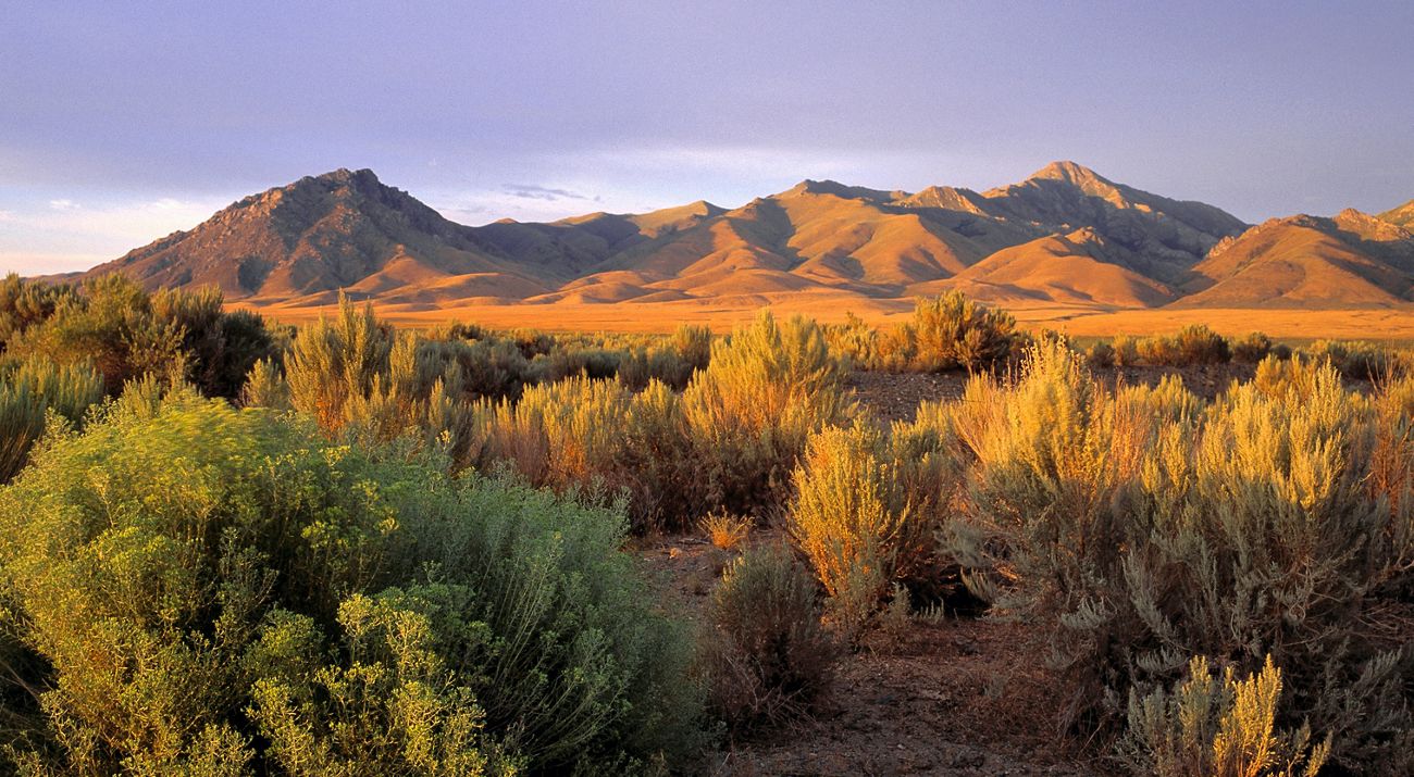 Landscape view looking across a vast golden plain filled with scrub and sagebrush with mountains in the distance.