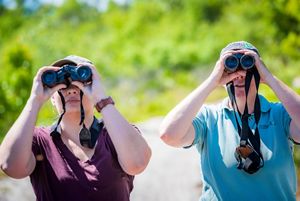 Two people look through binoculars. 