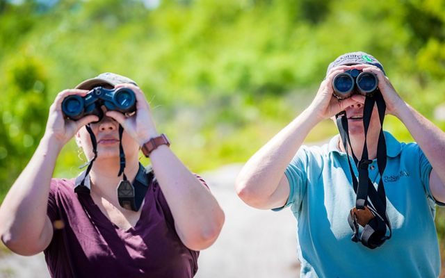 Two people look through binoculars.