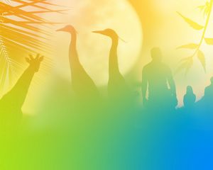 a collage of nature and people in silhouette