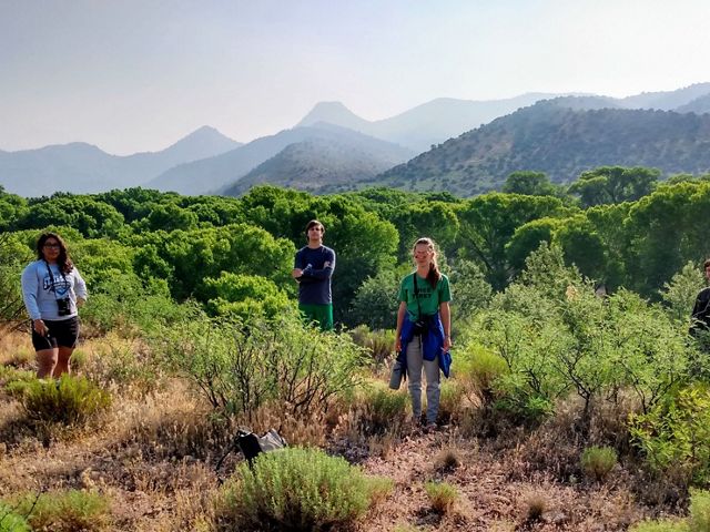 Four people stand socially distanced among shrubs with mountains in the background.