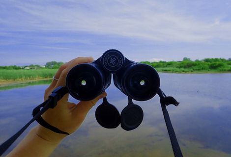A photo of a birder holding up binoculars.