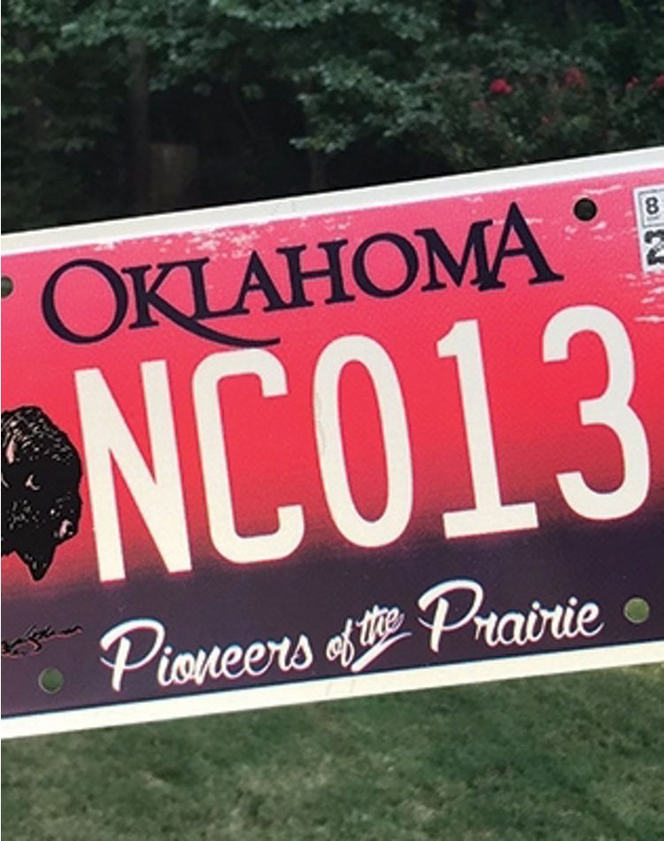 Speciality bison-themed license plate.
