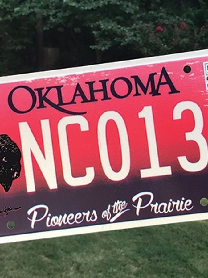 Speciality bison-themed license plate.