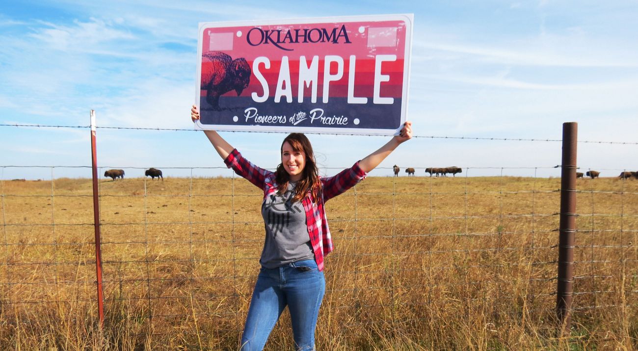 An alternating pattern of sample bison license plates in pink with a bison on them and monarch plates with a blue background, yellow sun rays, and an orange and black monarch.