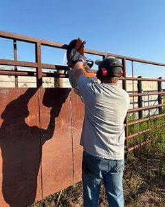 TNC employee sporting safety gear while working on the outdoor bison corrals. 