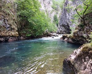 The Bistrica River carves its way through Montenegro's spectacular Đalovića Gorge.