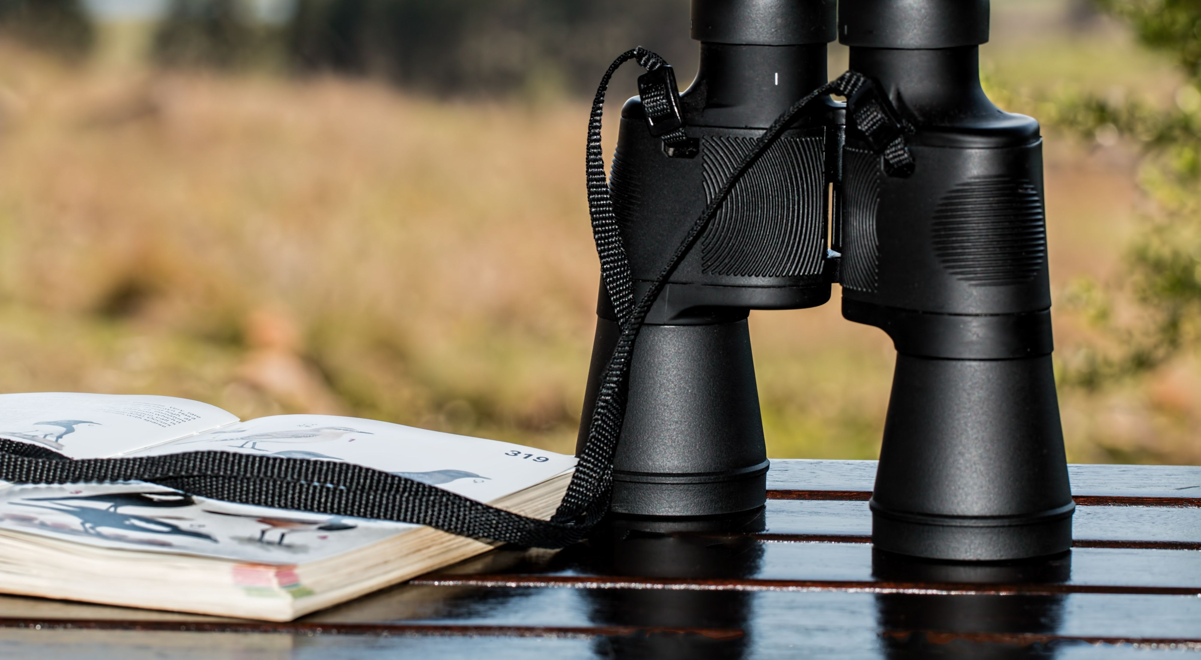A book and binoculars on a table with mountain scene in distance. 