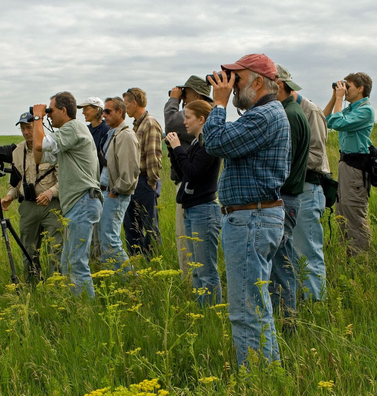 Birders observing together in a prairie