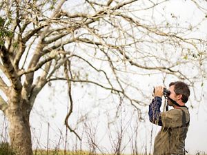 A man holding binoculars stands under a tree.