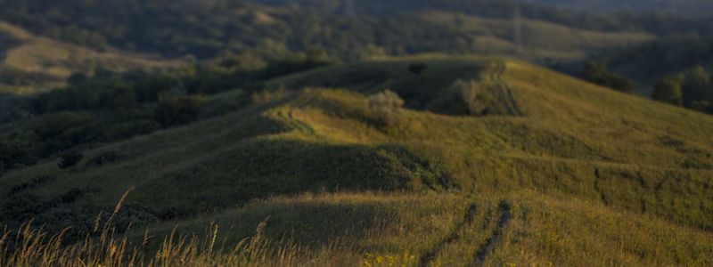 Animal trails stretch across vast grassy hills of a prairie.