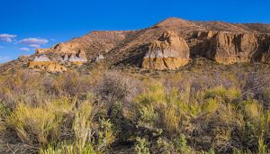 A field of sagebrush grows up against a red rock mountain.
