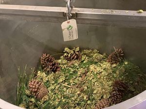 View inside a large steel brewing vat of branches, needles and cones collected from longleaf pine trees for a new beer.