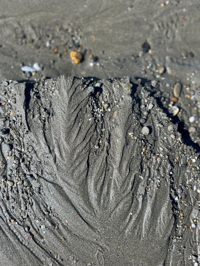 Black sands and pebbles on the beach shores of Quinault ancestral lands.