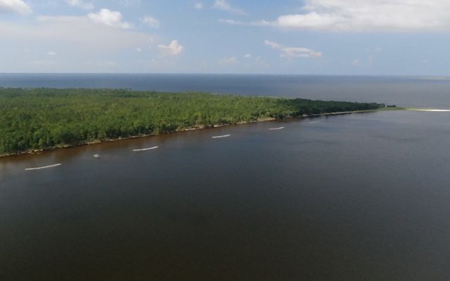 Image of Blackwater Bay at Escribano Point showing the newly constructed oyster reefs along the shoreline.