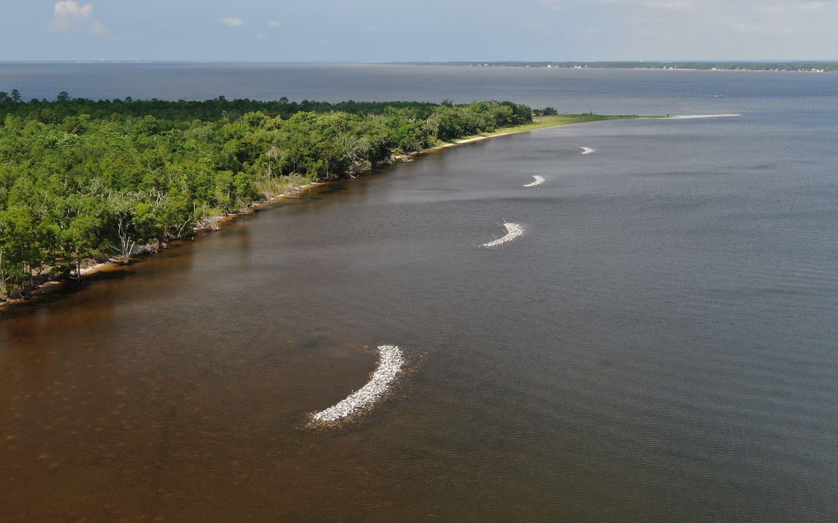 An aerial view of four oyster reefs in the water running along a tree-covered Escribano Point.
