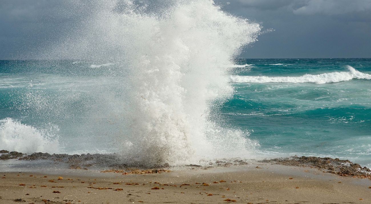Exploding Rocks Florida Blowing Rocks Preserve | The Nature Conservancy in Florida