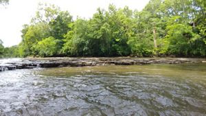 Blue River in Kansas City | The Nature Conservancy