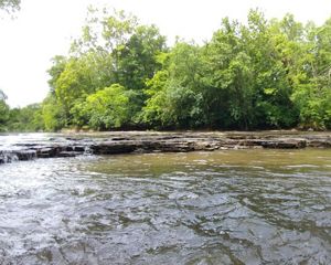 Water flows over natural rock ledge with green trees.