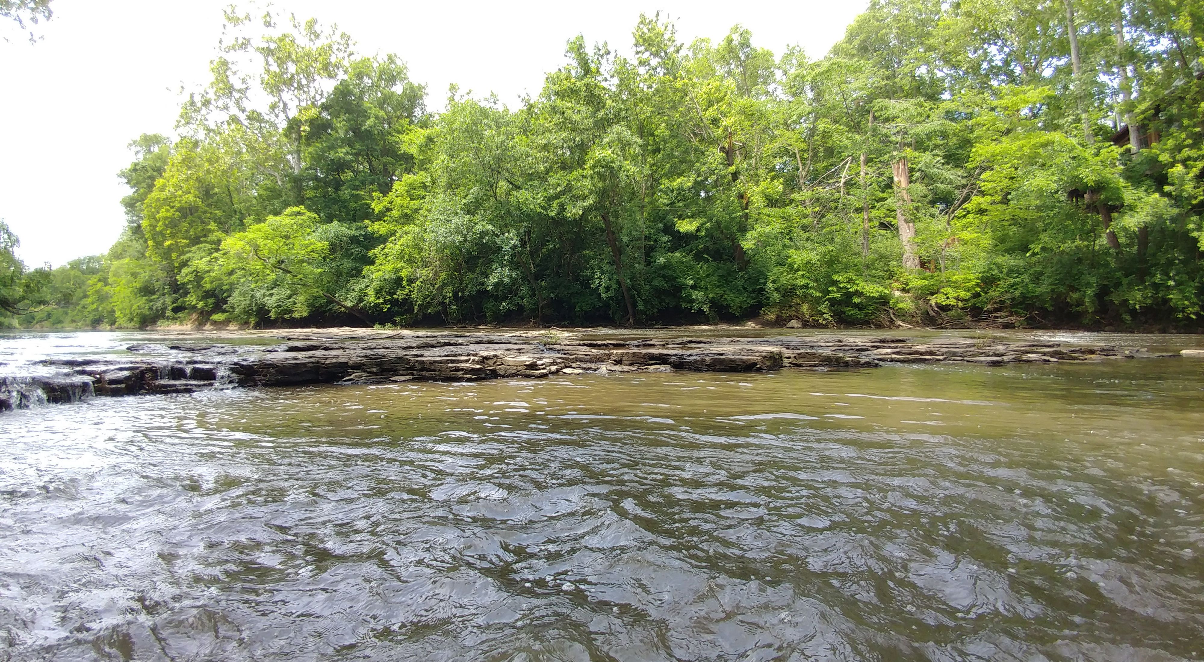 A broad river with trees on its bank.