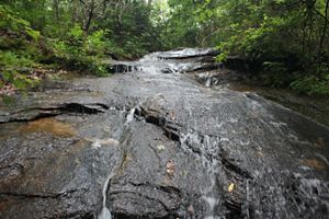 Water flows down a flattened boulder surrounded by greenery.