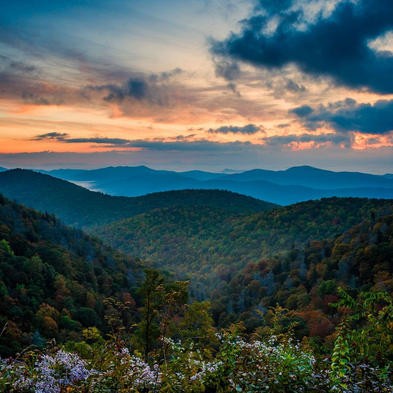 North Carolina landscape view of a forest with hills and valleys at sunset.
