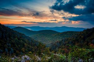 A sunset overlooks the rolling mountains of the Blue Ridge Parkway in North Carolina. Small purple flowers are seen in the foreground. 