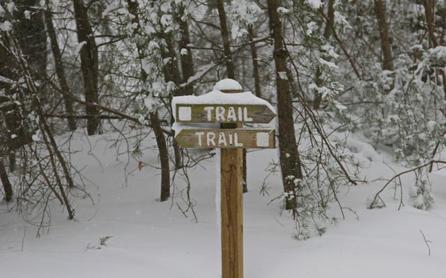A wooden trail marker sign covered in snow.