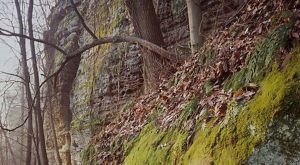 Bluffs Of Beaver Bend The Nature Conservancy