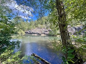Stream running through Arkansas preserve.
