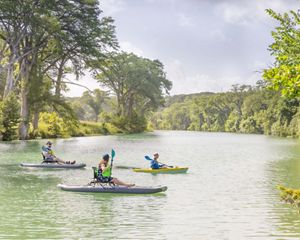 Three kayakers paddle on a blue river lined with trees.
